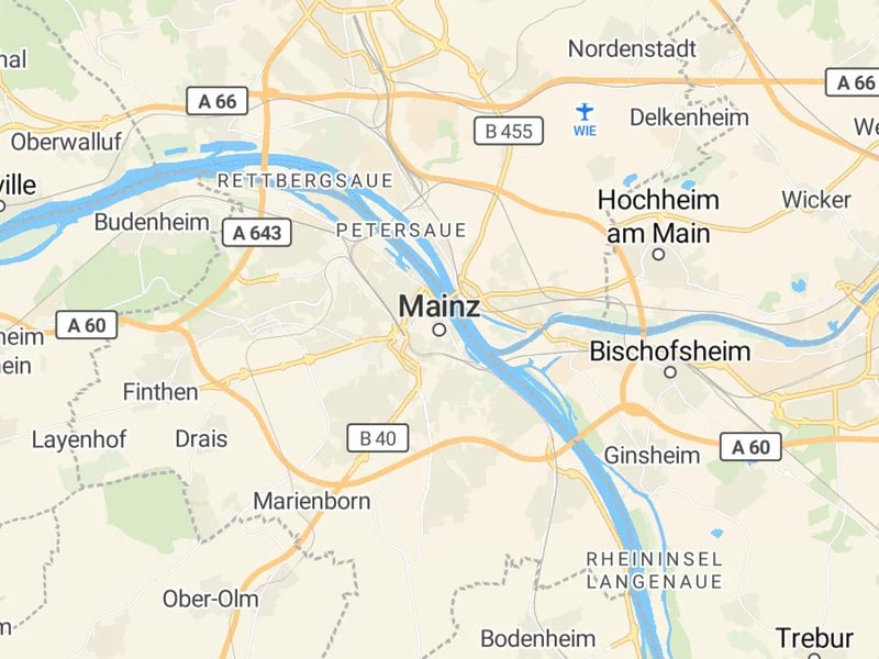 Karte des Einzugsgebiets, Autoverwertung Mainz